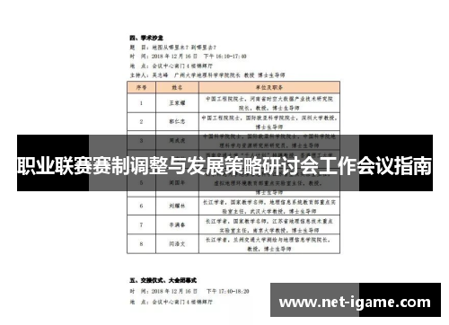 职业联赛赛制调整与发展策略研讨会工作会议指南