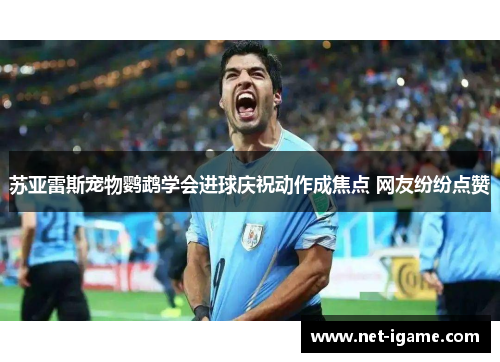 苏亚雷斯宠物鹦鹉学会进球庆祝动作成焦点 网友纷纷点赞