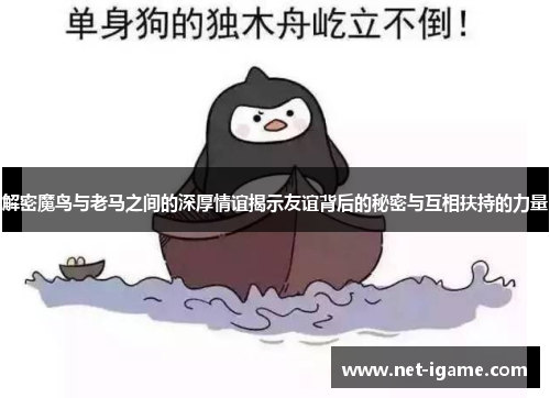 解密魔鸟与老马之间的深厚情谊揭示友谊背后的秘密与互相扶持的力量