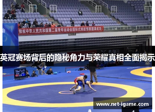 英冠赛场背后的隐秘角力与荣耀真相全面揭示