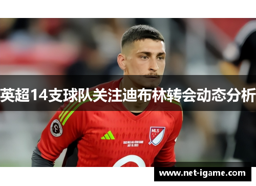 英超14支球队关注迪布林转会动态分析