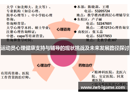 运动员心理健康支持与辅导的现状挑战及未来发展路径探讨