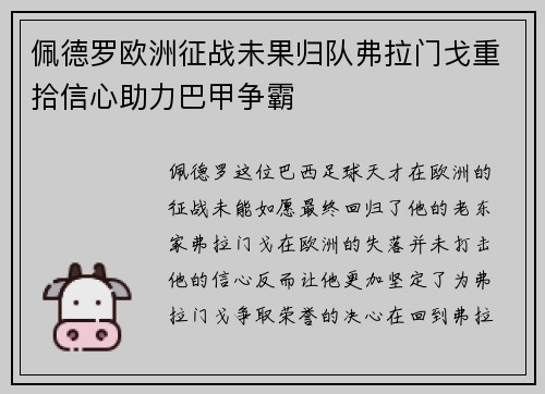 佩德罗欧洲征战未果归队弗拉门戈重拾信心助力巴甲争霸