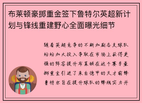 布莱顿豪掷重金签下鲁特尔英超新计划与锋线重建野心全面曝光细节